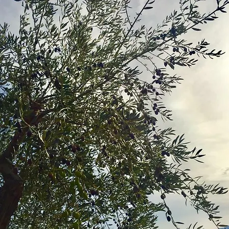 Holiday home Casa Vacanze Del Borgo *